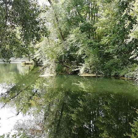 Studio Au Coeur De La Vallee De La Loire Azay-sur-Cher Eksteriør billede