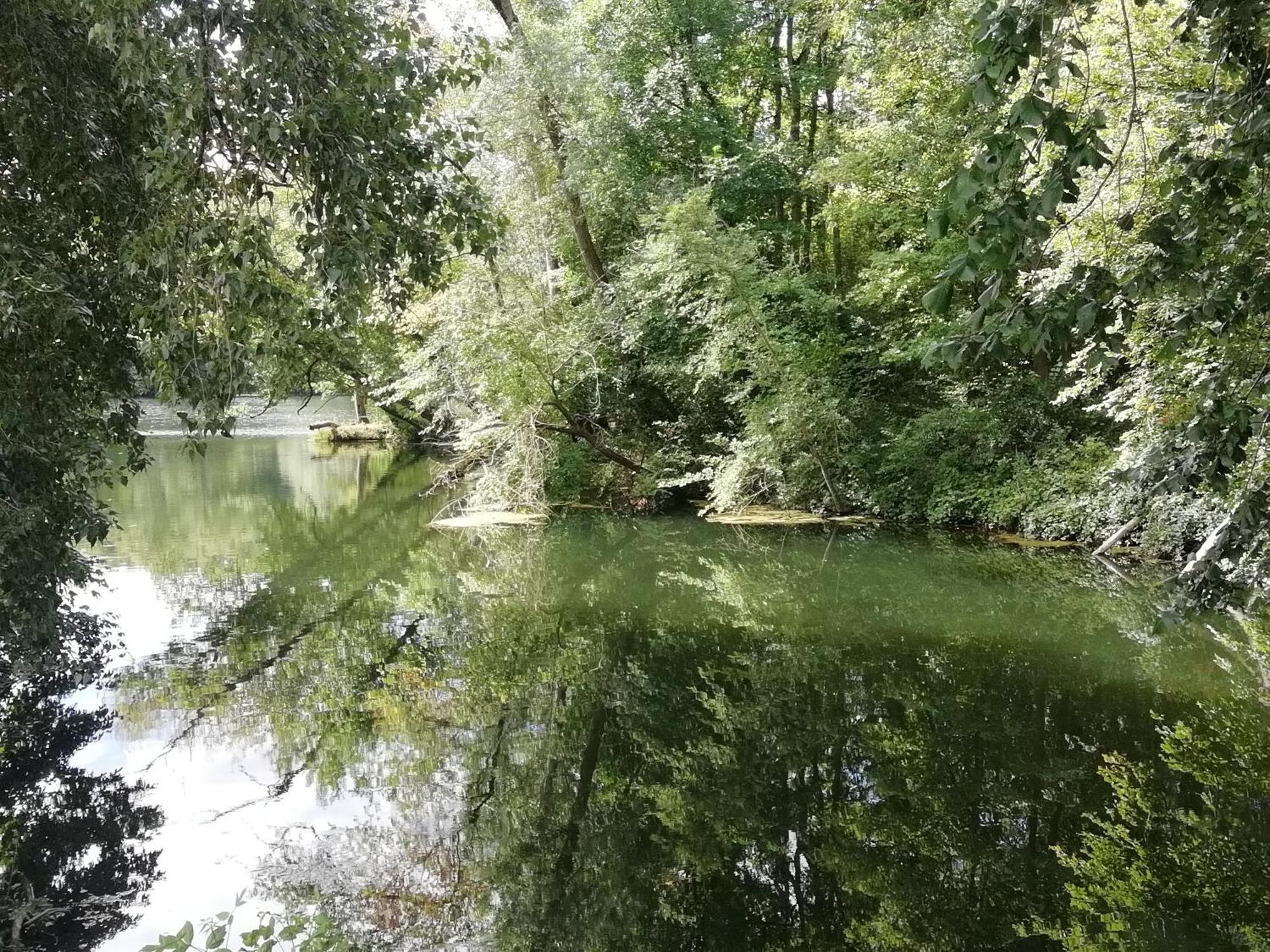 Studio Au Coeur De La Vallee De La Loire Azay-sur-Cher Eksteriør billede